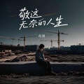 尚妍 - 敬这无奈的人生