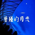 王嘉锐 - 曾经的月光