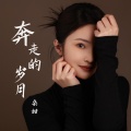 桑甜 - 奔走的岁月