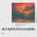 虎二 - 离开我你快乐吗
