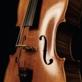 Harmonious Rest、Sleep Hypnosis Music、Sleep Sound Comfort - Calming Orchestra Mental Comfort