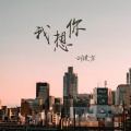 刘建东 - 我想你