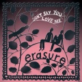 Erasure - Don't Say You Love Me (Radio Mix)
