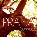 Jazzy D、Alankara - Saxxual (2014 Edit)