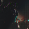 b4r5 - homme
