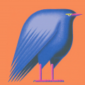 haru-kun - eagle