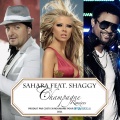 Shaggy、Sahara - Champagne
