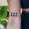 Tripcito - 111