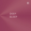 Deep Sleep