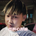 吴水清 - 爱了伤了也痛了