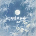 窝窝 - 那晚的月亮