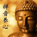 荔荔一朝 - 碧水涟涟 (静心养生)