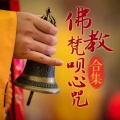 悦亲 - 释迦牟尼心咒