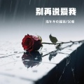 别再说爱我
