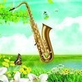 海佳 - 橄榄树