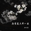 顾叮当 - 海棠花又开一夜