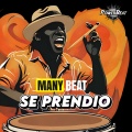 Manybeat - Se Prendio (Jack N' Brothas Flute Remix)