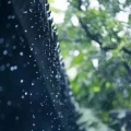 催眠-雨的声音