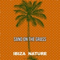 Sand On The Grass