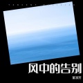 董淑芳 - 风中的告别