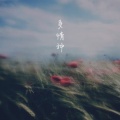 江楚依 - 多情种