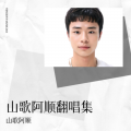 山歌阿顺 - 只怪自己爱过头