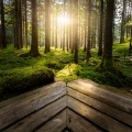 Music For Deep Reflection