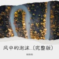 阿伟伟 - 风中的泡沫