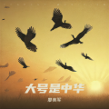 廖美军 - 大号是中华