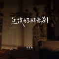 苏星婕 - 还没好好告别