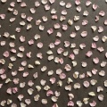 蔡芯儿 - 花又落