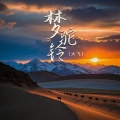 大飞 - 梦驼铃
