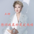 王娜 - 想问你真的爱过我吗