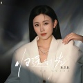 张灵敏 - 归途的光
