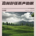 疗愈助眠 - 大海的咏叹