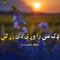 Hameem Badra - یا رسوالله