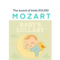 노엘컴퍼니 Noel Company - 새소리 The Sound of Birds + 모짜르트 자장가 Mozart Lullaby