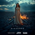 Disarmed (Acoustic)