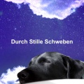 Durch Stille Schweben