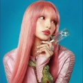Lyce colens、Porca、dreamsoda、Polsas、ceZk - 2003