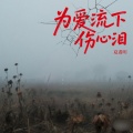 夏遇明 - 为爱流下伤心泪