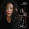 刘振宇 - 该放下了吧