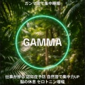ガンマ波で集中睡眠GAMMA40仕事が捗る 認知症予防 集中力UP 脳の休息 セロトニン増幅