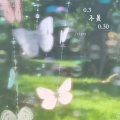Ciyo - 0.3不是0.30