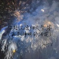 顾叮当 - 你路过像烟火坠落