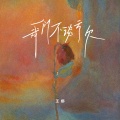 王娜 - 我们不谈亏欠