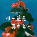 阿美呀 - 唯一还是其中之一