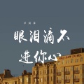 卢润泽 - 眼泪滴不进你心