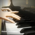 Animaddicted - Reflection, Allegretto, You (From 