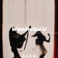 Wonderful U